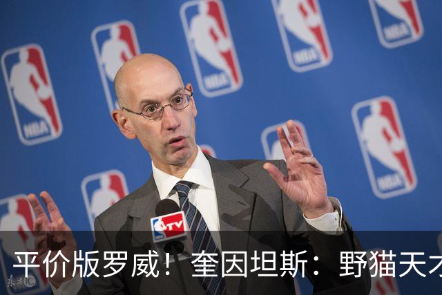 平价版罗威！奎因坦斯：野猫天才内线 存伤病隐患 罚球致敬米切罗
